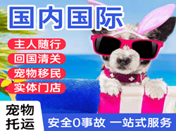 烟台蓬莱机场快递国际宠物托运 【国